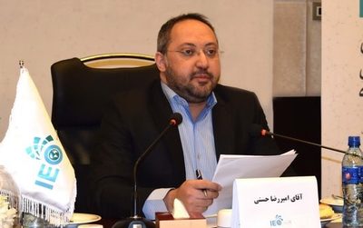 امیررضا حسنی، مدیریت موسسه اقتصاد ایرانیان
