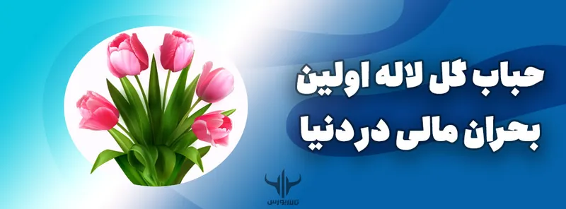 حباب گل لاله هلندی