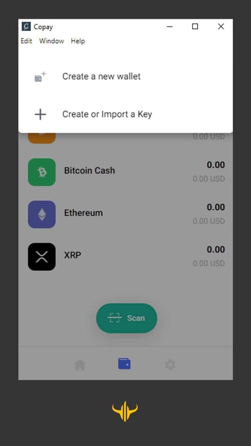 copay wallet والت کوپی