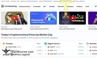 دامیننس بیت کوین