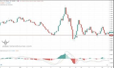  Bear Trap تله خرسی