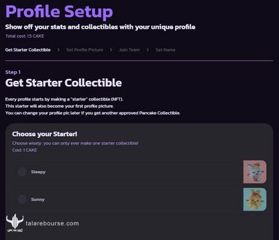 مشخصات شما (Profile)