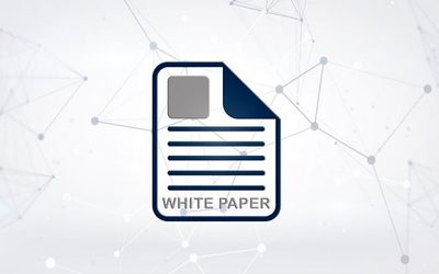 وایت پیپر (White Paper)