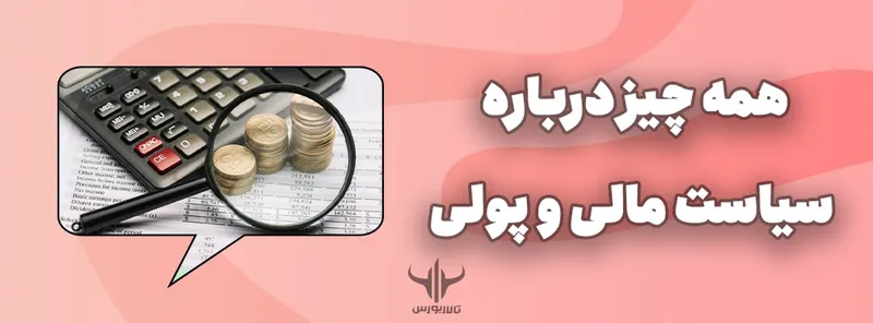 سیاست مالی و پولی