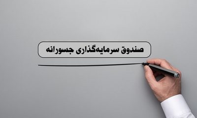 FeatureImage_venture-capital-advantages-and-disadvantages صندوق سرمایه گذاری جسورانه