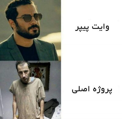 میم کوین
