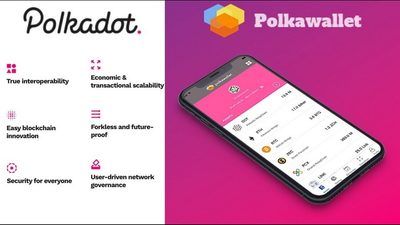 پولکا ولت polka wallet