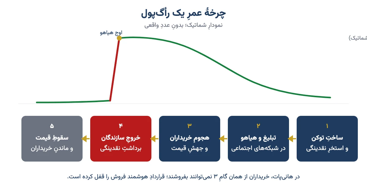 چرخهٔ عمر یک رأگ‌پول در پنج گام از ساخت توکن تا سقوط قیمت