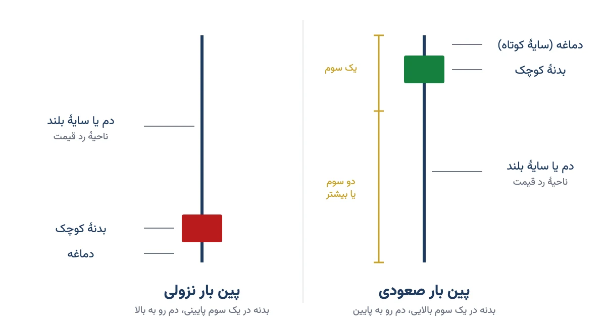 اجزای کندل پین بار صعودی و نزولی: دماغه، بدنهٔ کوچک و دم بلند