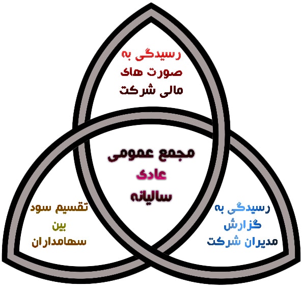 وظایف مجمع عمومی عادی سالیانه