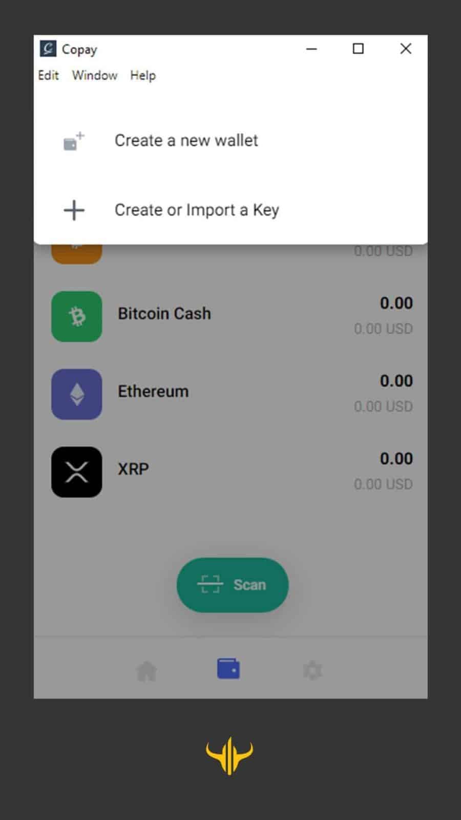 copay wallet والت کوپی