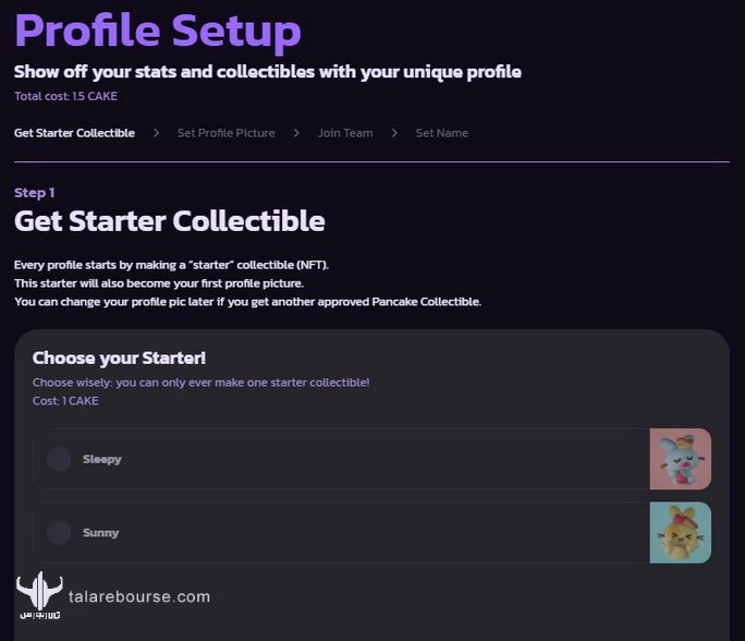 مشخصات شما (Profile)